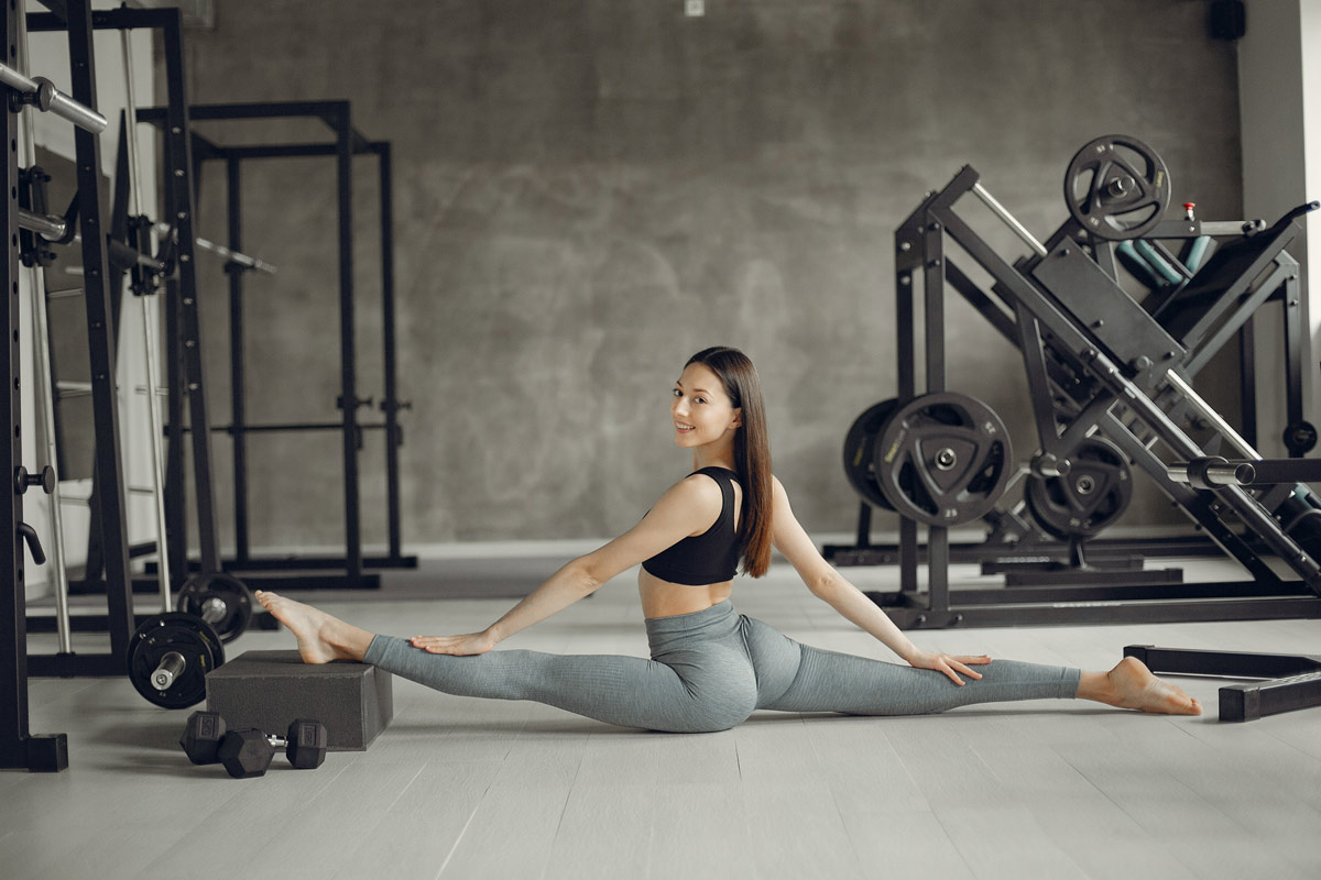Reformer